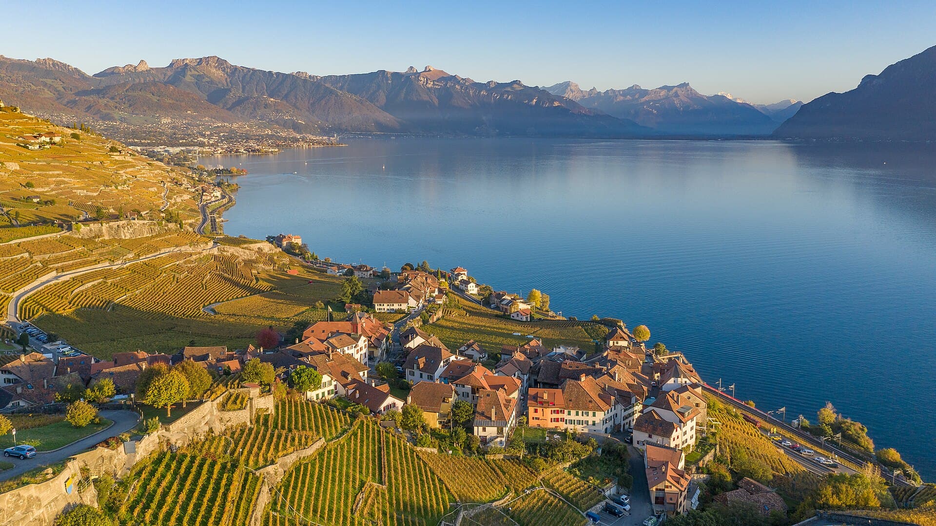 Lavaux vineyards above Lake Geneva, near Clinic Les Alpes